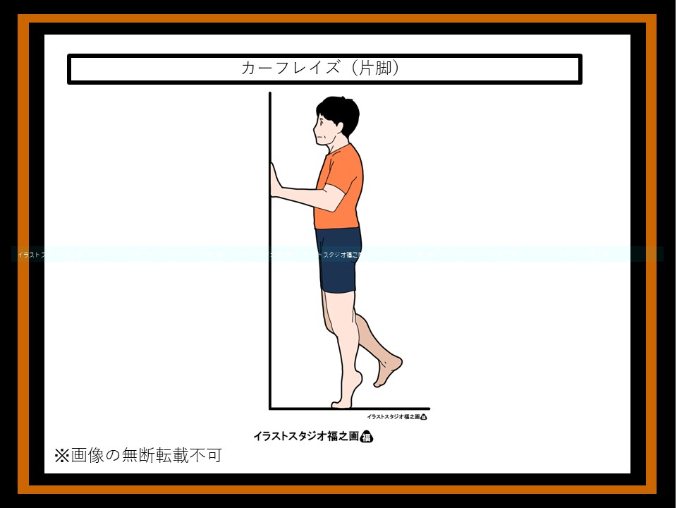 カーフレイズ（片脚）（図1）
