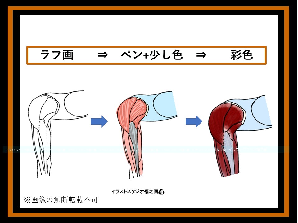 体幹前傾と股関節周囲筋のイラスト