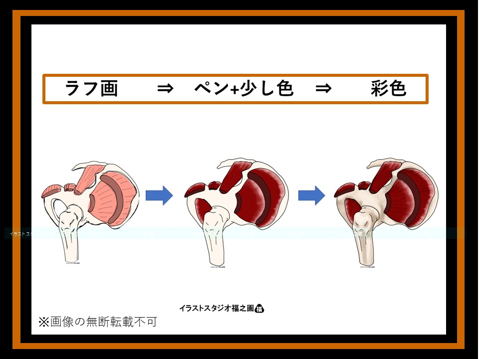 体幹前傾と股関節周囲筋のイラスト