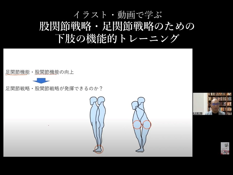 イラストや動画で分かる股関節戦略・足関節戦略のためにできる臥位・座位・立位の機能訓練