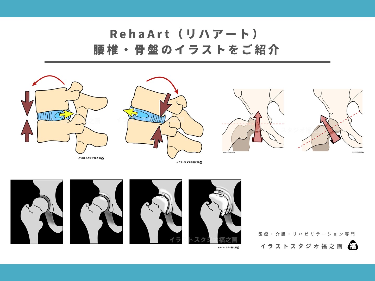 腰椎・骨盤・解剖学・運動学・イラスト・イラスト素材・画像・図・素材・セミナー・研修・リハアート
