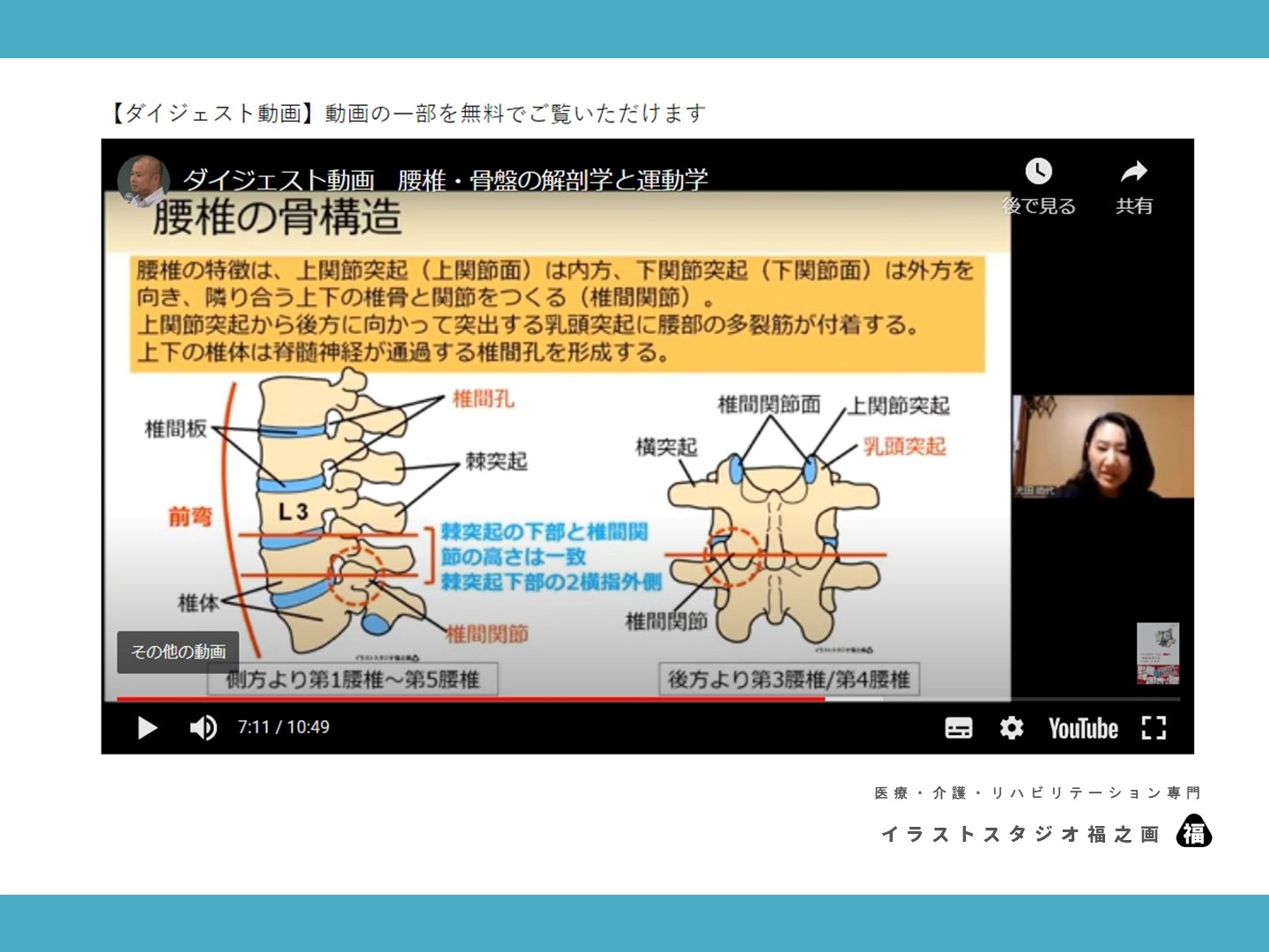 腰椎・骨盤・解剖学・運動学・イラスト・画像・図・素材・セミナー・研修