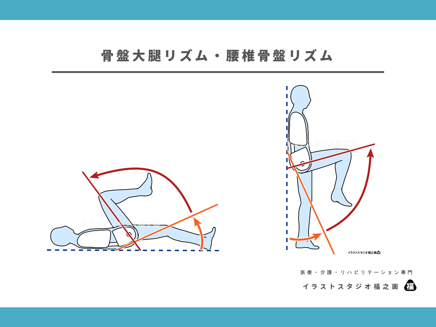 骨盤大腿リズムとは腰椎骨盤リズムとはイラスト・画像・図・素材