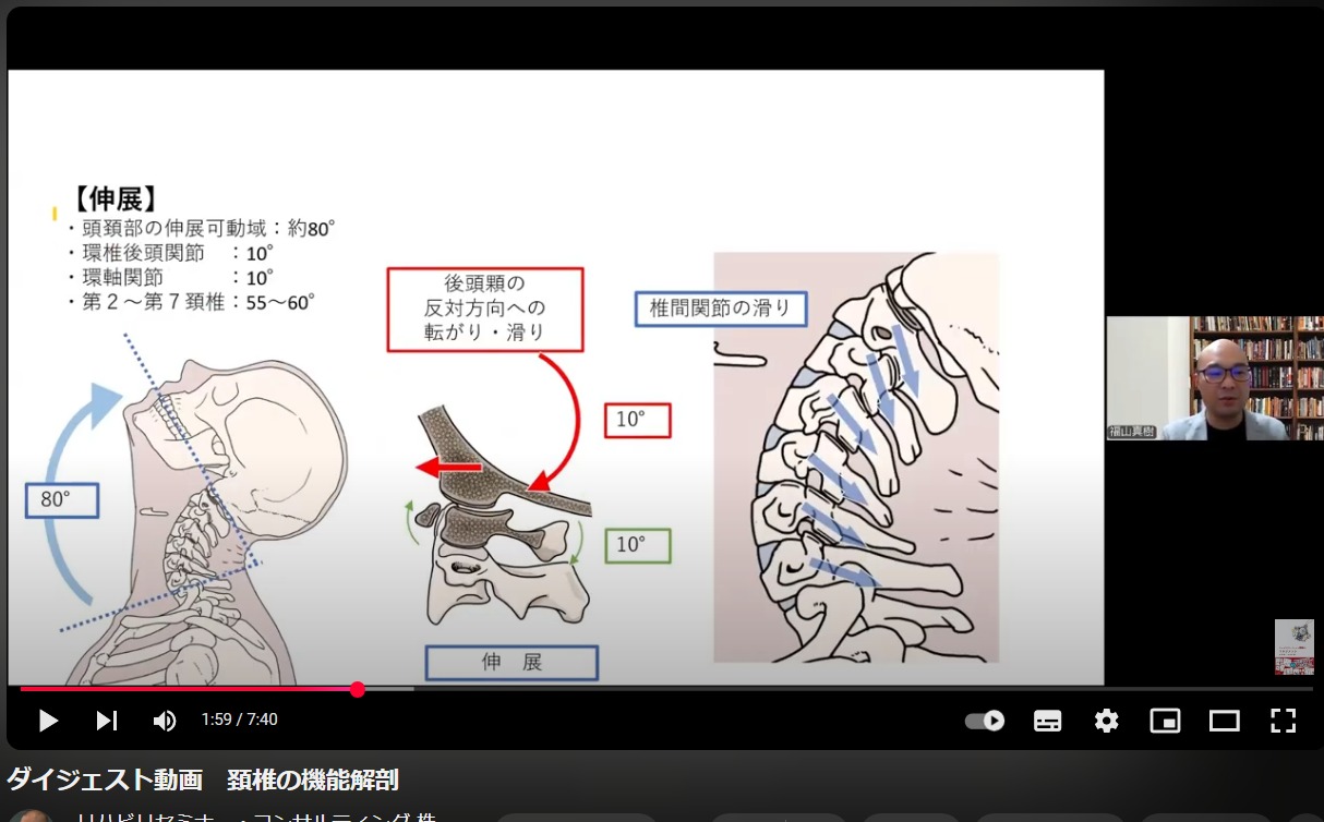頚椎の機能解剖、イラスト、分かりやすい、セミナー、動画、画像、苦手、難しい、