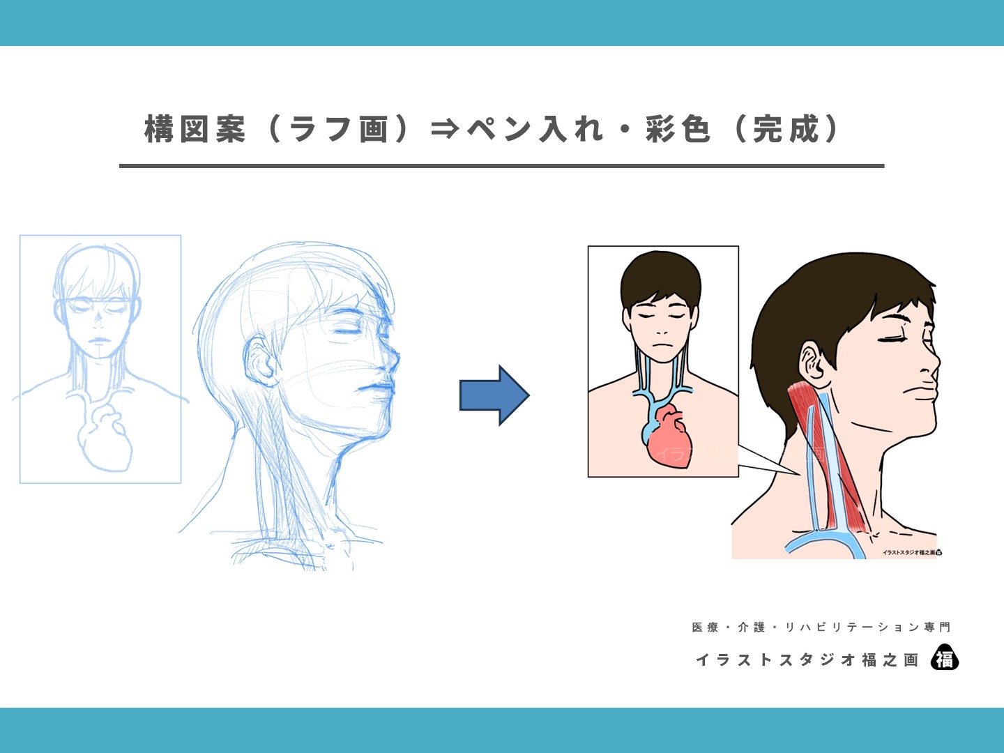 内頸静脈・外頸静脈・イラスト・イラストスタジオ福之画・解剖図2