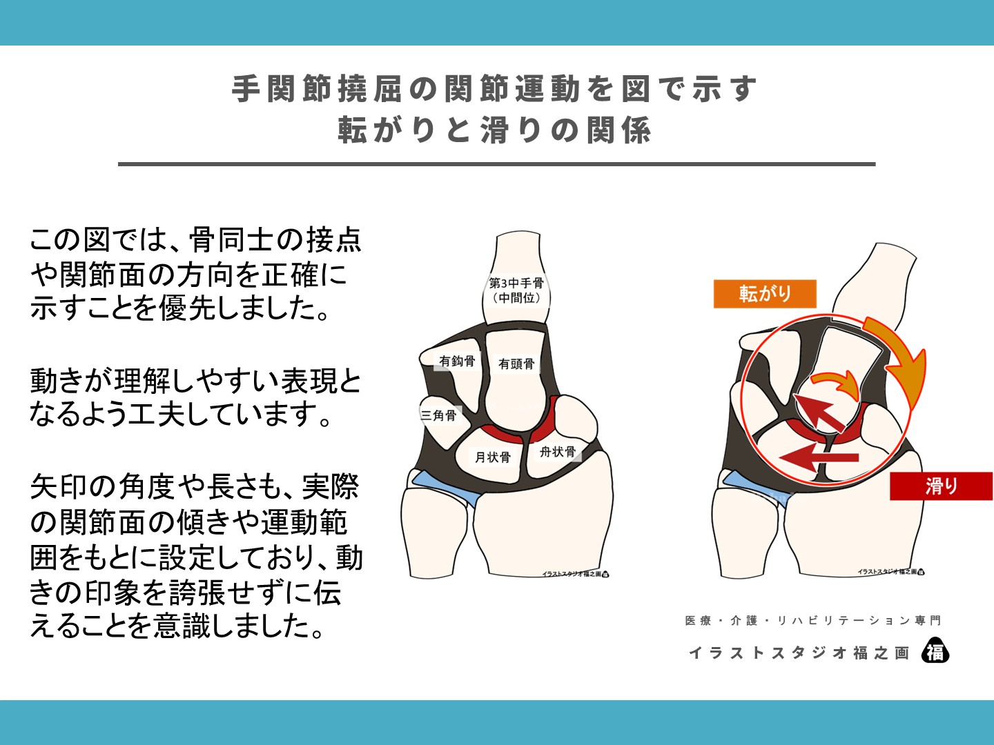 手関節撓屈の関節運動を図で示す ― 転がりと滑りの関係2