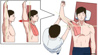 大胸筋下部線維ストレッチングの解剖学的ポイント｜イラストで分かる線維走行と手技方向