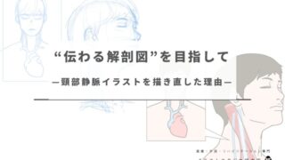 “伝わる解剖図”を目指して—頸静脈イラストを描き直した理由—