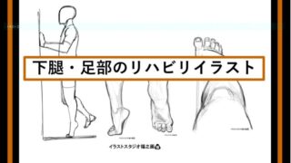 足部をリハビリイラストで学ぶ１：カーフレイズ（つま先立ち）