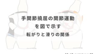 手関節撓屈の関節運動を図で示す ― 転がりと滑りの関係