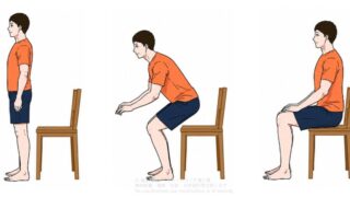 端座位の股関節回旋をどう見るか｜着座動作における下肢回旋の考え方
