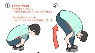 イラストで伝わるジャックナイフストレッチ ～ポイントと工夫～